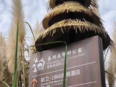 -上海长兴岛郊野公园