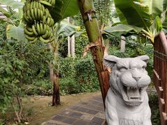-呀路古热带植物园