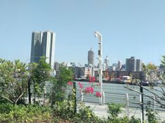 -澳门环岛游湾仔码头