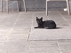 -雅达·阳羡溪山小镇中心