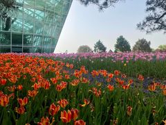 -石家庄市植物园