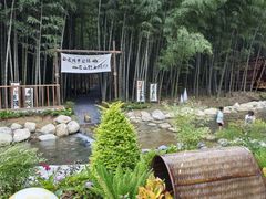 -永州阳明山国家森林公园