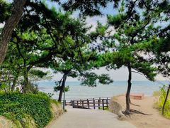 -八大关景区