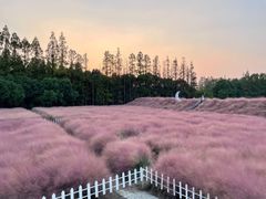 -嘉北郊野公园