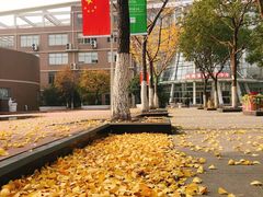 -上海市实验学校