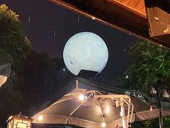 -巴倒烫陆派火锅山庄(南山总店)