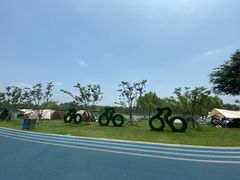 -贡湖湾湿地公园
