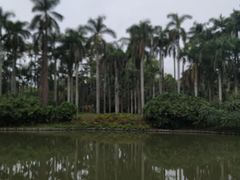 -中国科学院华南植物园