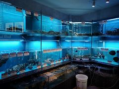 水产区-协成海鲜火锅(海洋花园店)