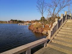 -杭州湾海上花田景区