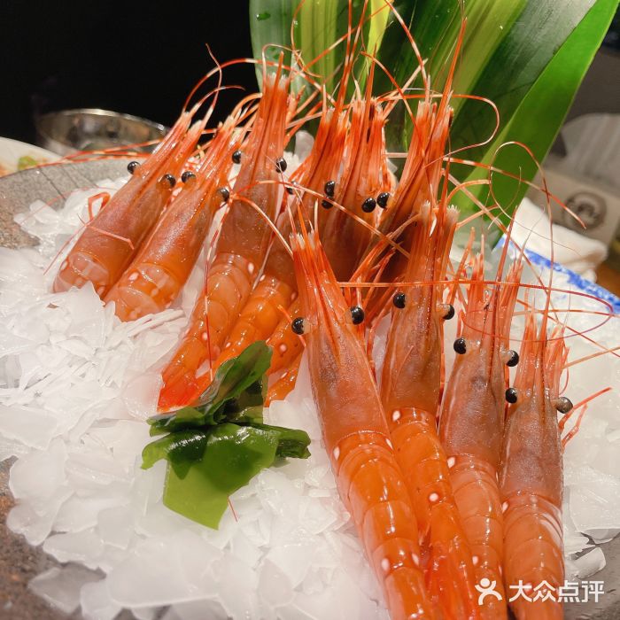 荣新馆(3号店)北海道野生牡丹虾图片