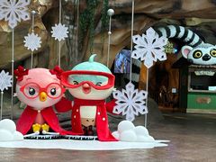 -杭州开元森泊度假乐园