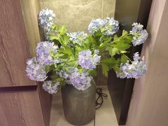 -Dragonfly 悠庭·按摩Spa(苏州中心广场店)