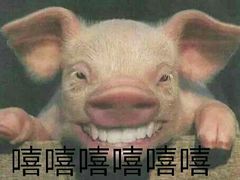 -孙记大碗皮肚面(后宰门店)