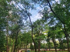 -森林公园(尖草坪区)