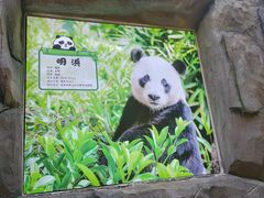 -柳州市动物园