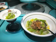 松茸绘圣瓜-松云泽