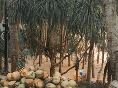 景点-海南分界洲岛旅游区