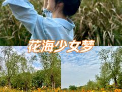 -艾溪湖湿地公园