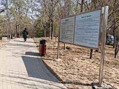 -大望京公园