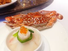 -成都观隐颐云台酒店-芳菲秀