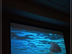 -金色印象·4K影院式足体养生(香榭里店)