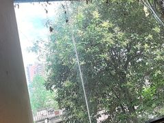 -树厨贵州菜(铜仁花果山店)