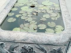 -天屿湖