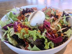 -Hatsune隐泉日式料理(三里屯太古里店)