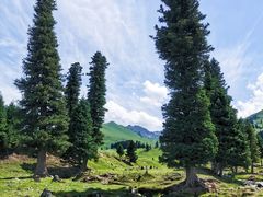 -新疆那拉提国家旅游度假区