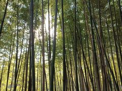 -四门塔风景区