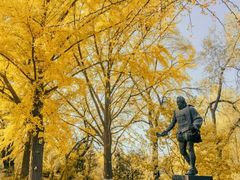 -北京大学百年讲堂