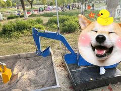 -佛手湖郊野公园