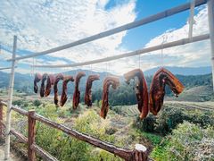 -南靖田螺坑土楼群景区