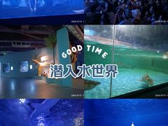 -重庆欢乐海底世界