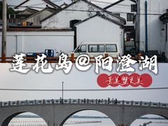 -莲花岛景区