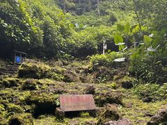 -海口火山口国家地质公园