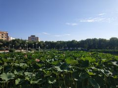 -哈尔滨师范大学(松北校区)