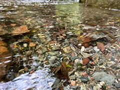 -西岭雪山大飞水景区