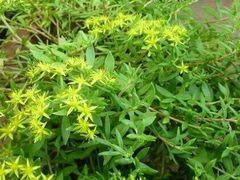 -伏牛地下河景区