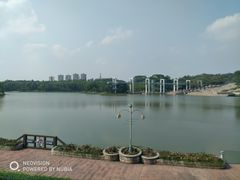 -东莞植物园