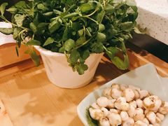 -烹然四季椰子鸡火锅(团结湖总店)