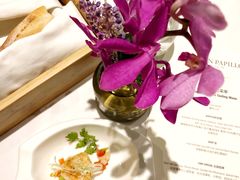 -蝶舍·MAISON PAPILLON