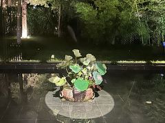 -曲水兰亭(北京四惠店)