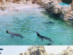 -珠海长隆海洋王国