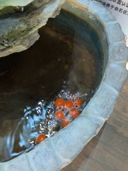 -兴亚瑜伽20年老馆