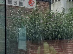 -九龙公园