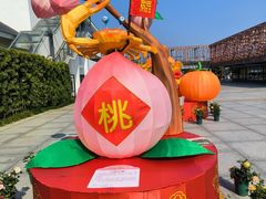 -香蜜公园