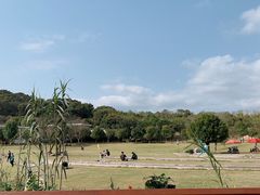 -牛岗山公园