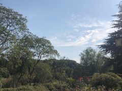-白马涧龙池景区